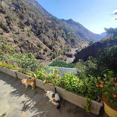 Rivendell Eco Lodge El Paso Εξωτερικό φωτογραφία