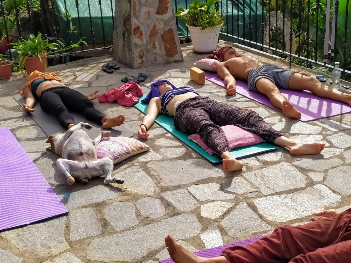 Rivendell Eco Lodge El Paso Εξωτερικό φωτογραφία