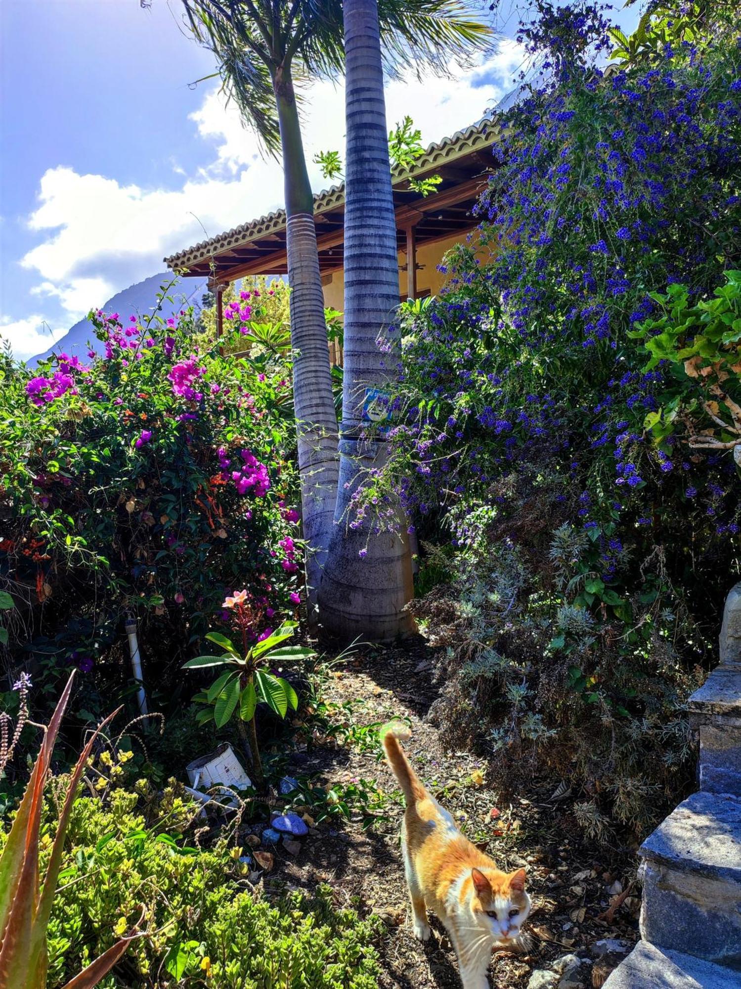 Rivendell Eco Lodge El Paso Εξωτερικό φωτογραφία